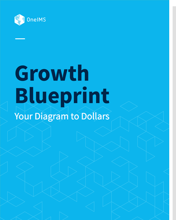 The B2B Growth Blueprint - Thumbnail Image